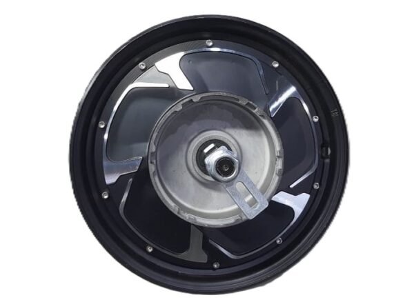 WUXI HUB Motor-1000 Watts LYF/LEO