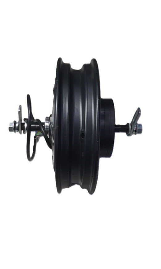 WUXI HUB Motor-1000 Watts LYF/LEO
