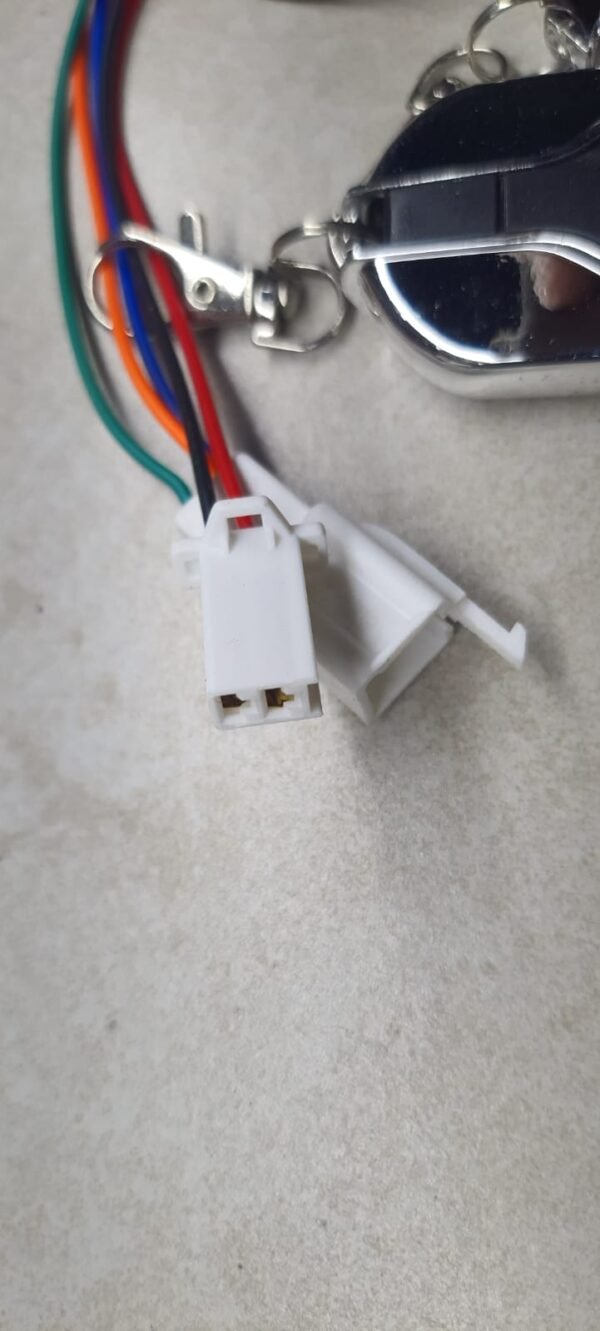 Universal Hooter with Remote