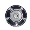 Hub Motor Plate (Right-Hand Side) – For Epluto 7G & Etrance Neo Models