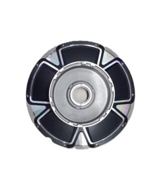 Hub Motor Plate (Right-Hand Side) – For Epluto 7G & Etrance Neo Models