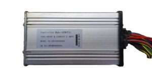 Controller 48V – Gemopai Ryder (Genuine Product)