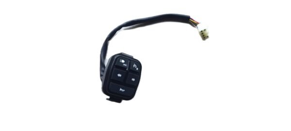 OLA S1 / S1 Pro (Gen 2) LH & RH Switch Assembly Set