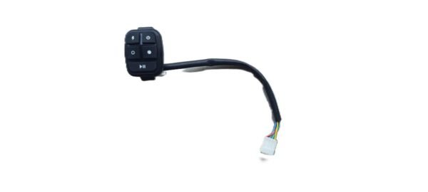 OLA S1 / S1 Pro (Gen 2) LH & RH Switch Assembly Set